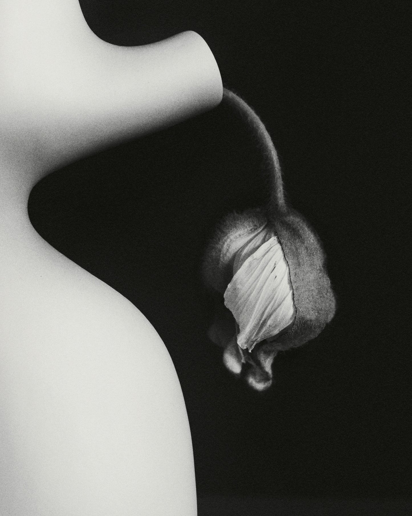 Y vase